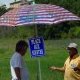 Sous les peints parasols