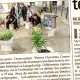 Revue de presse