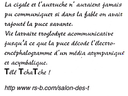 Le champ d'autruche